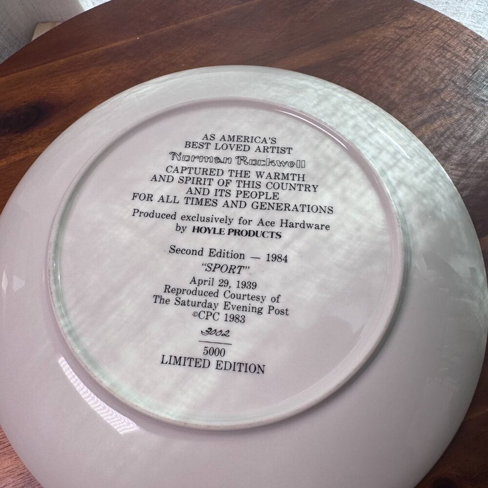 Vintage 1984 Norman Rockwell "Sport" Fishing Collector Plate by Gorham - Picture 5 of 6